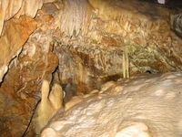 IMG_0826.JPG