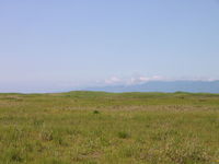 IMG_0868.JPG