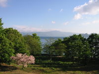 IMG_2605.JPG