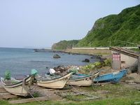 IMG_2935.JPG