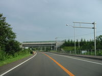 IMG_2962.JPG