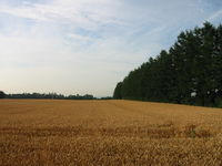 IMG_2966.JPG