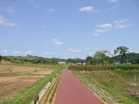 IMG_3087.JPG