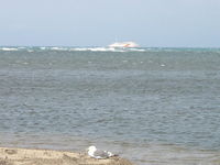 IMG_3117.JPG