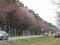 IMG_4290.JPG