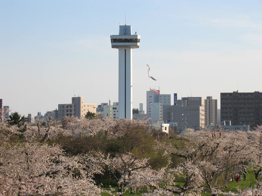 五稜郭公園の桜(函館)
キーワード: 渡島エリア 桜