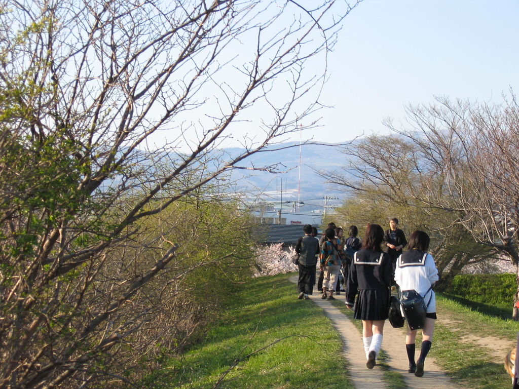 五稜郭公園の桜(函館)
キーワード: 渡島エリア 桜