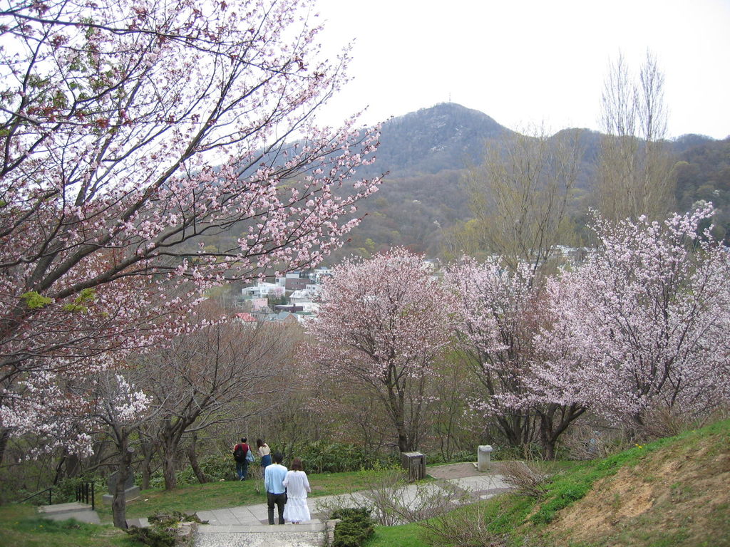 旭山公園
キーワード: 桜 札幌エリア