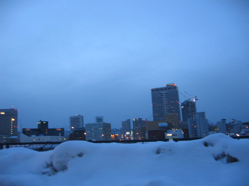 幌平橋から
キーワード: 札幌エリア 冬景色