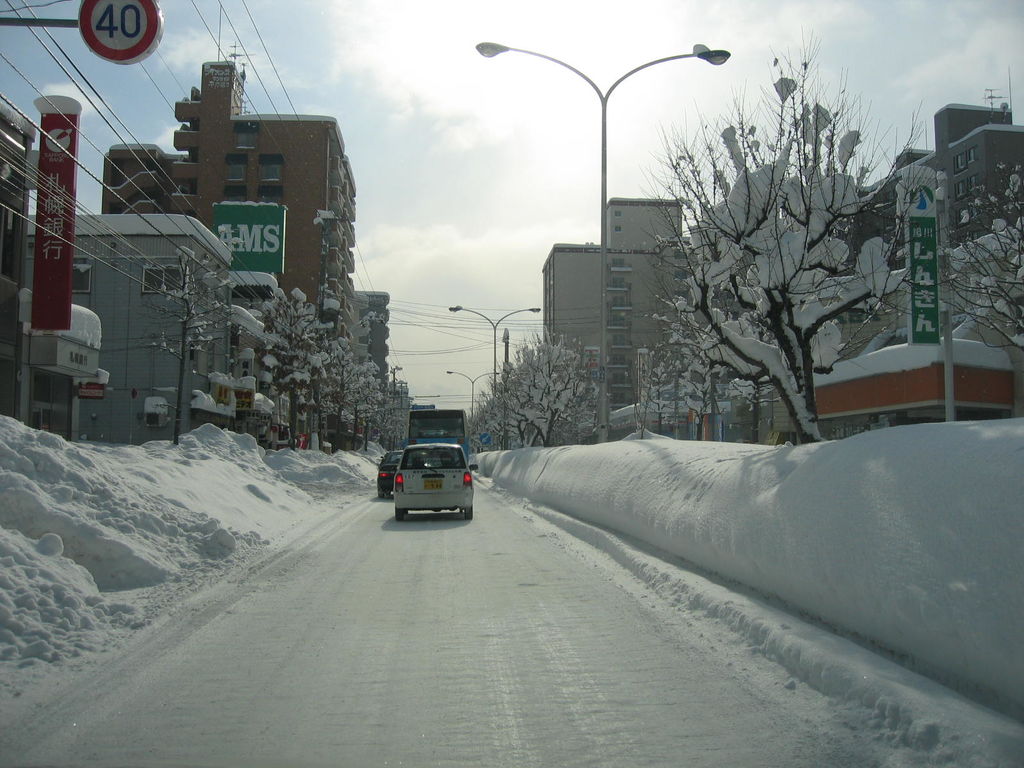 平岸通
キーワード: 札幌エリア 冬景色