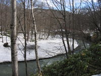 IMG_0116.JPG