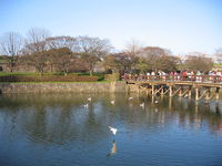 IMG_0279.JPG