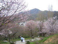 IMG_0429.JPG
