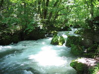 IMG_0812.JPG
