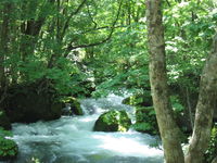 IMG_0813.JPG