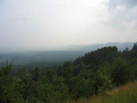 IMG_1113.JPG