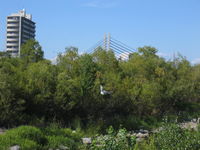 IMG_1142.JPG