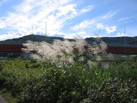 IMG_1148.JPG