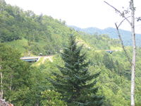 IMG_1278.JPG
