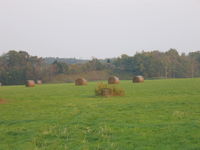 IMG_1421.JPG