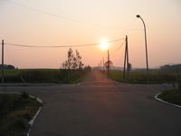 IMG_1432.JPG