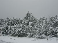 IMG_1493.JPG