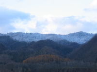 IMG_1497.JPG