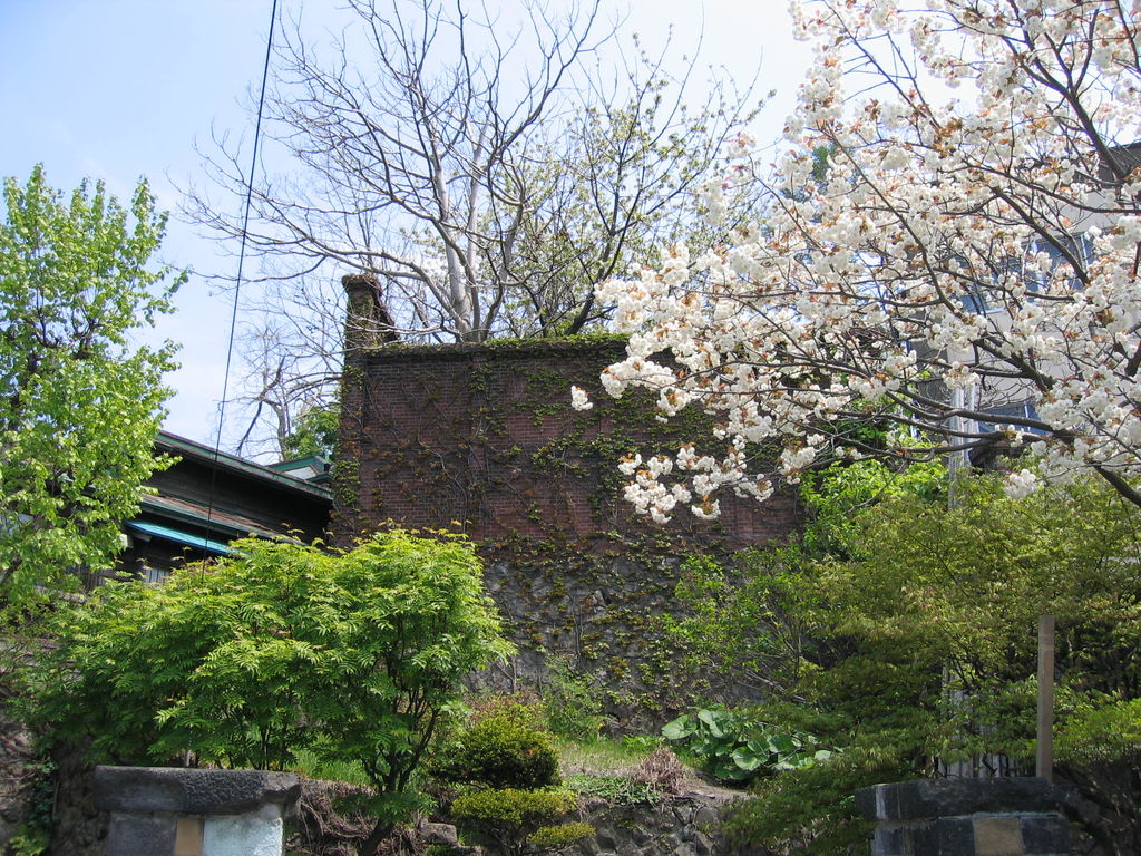 小樽 寿原邸
キーワード: 後志エリア 桜