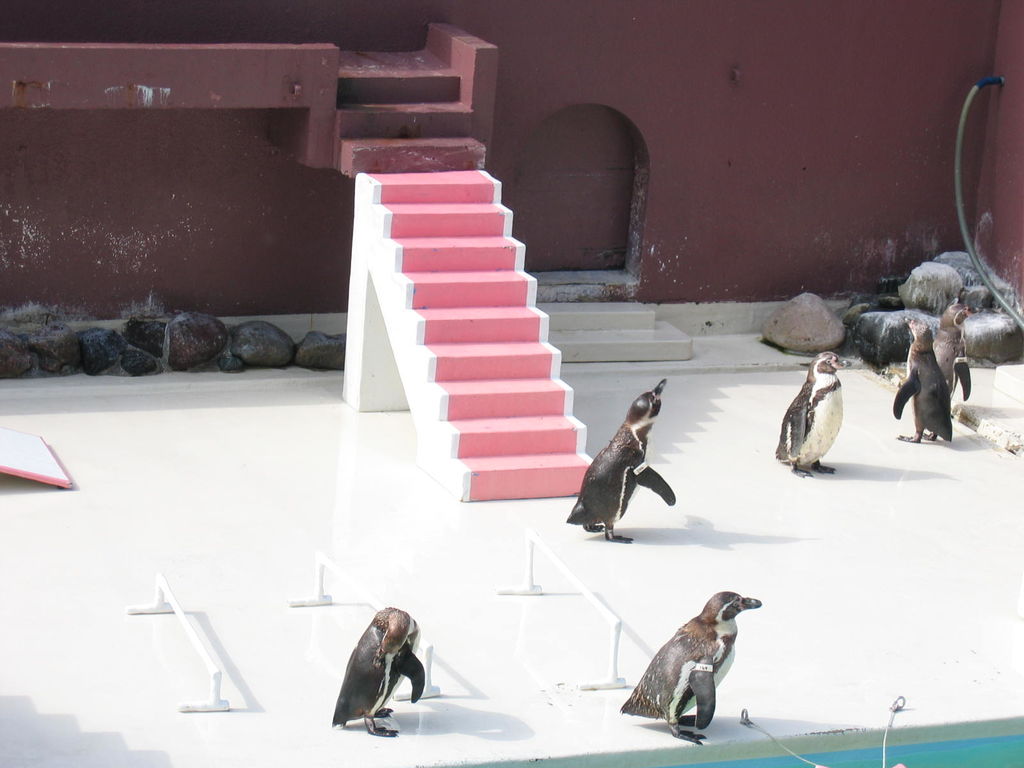 小樽 - おたる水族館
キーワード: 後志エリア