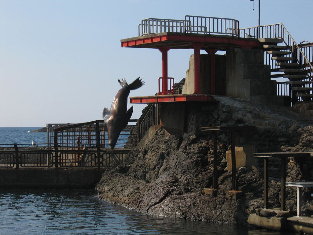 小樽 - おたる水族館
キーワード: 後志エリア