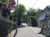 IMG_1856.JPG