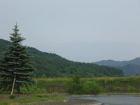 IMG_2451.JPG