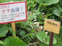 IMG_2721.JPG