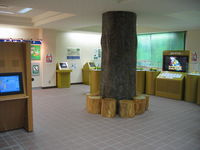 IMG_2728.JPG