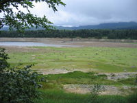 IMG_2730.JPG