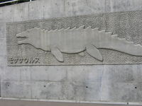 IMG_2762.JPG