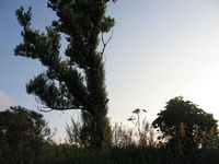 IMG_2783.JPG
