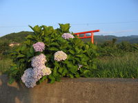 IMG_2784.JPG