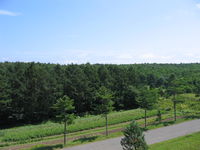 IMG_2810.JPG