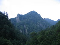 IMG_3245.JPG