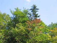 IMG_3268.JPG