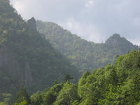 IMG_3271.JPG