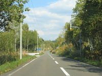IMG_3513.JPG