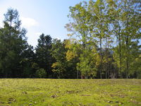 IMG_3521.JPG