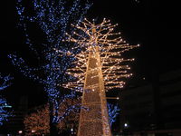 IMG_3919.JPG