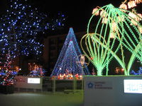 IMG_3923.JPG