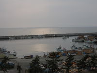 IMG_4246.JPG