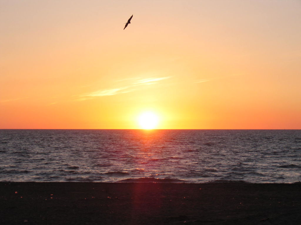 石狩浜からの夕日
キーワード: 夕日 石狩エリア