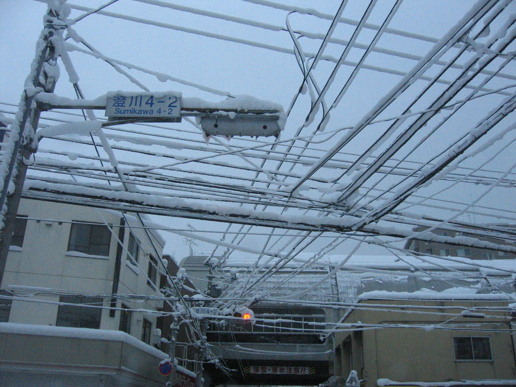 電線に雪
小さな交差点にも結構な電線があるものです。
キーワード: 雪景色 札幌エリア