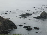 IMG_4349.JPG